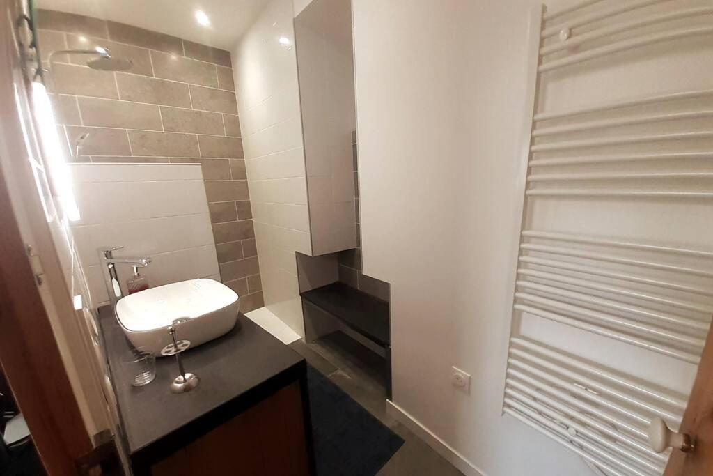 Classe 4 Etoiles - Cybele - Centre Ville 2 Chambres, Cour Privative Et Garage Vienne  Eksteriør bilde