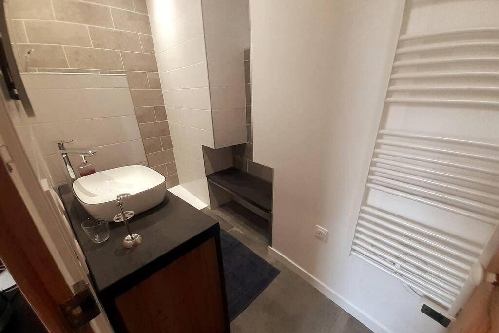 Classe 4 Etoiles - Cybele - Centre Ville 2 Chambres, Cour Privative Et Garage Vienne  Eksteriør bilde