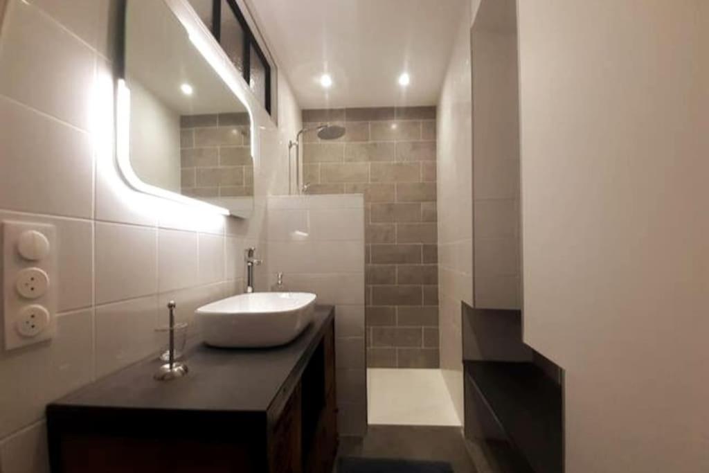 Classe 4 Etoiles - Cybele - Centre Ville 2 Chambres, Cour Privative Et Garage Vienne  Eksteriør bilde