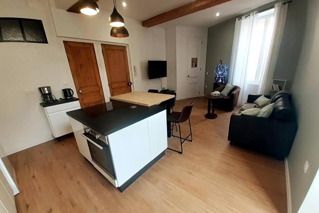Classe 4 Etoiles - Cybele - Centre Ville 2 Chambres, Cour Privative Et Garage Vienne  Eksteriør bilde